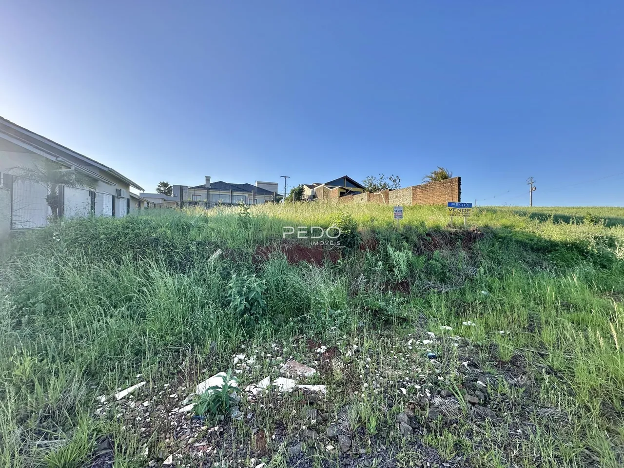 Vista externa da propriedade com vegetação alta e grama selvagem.