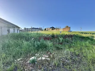 Vista externa da propriedade com vegetação alta e grama selvagem.
