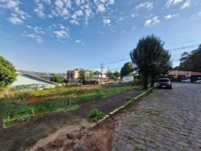 Terreno, foto 3