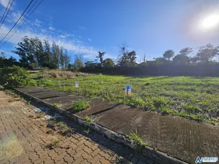 Terreno, foto 2