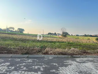 Paisagem de campo com vegetação seca em primeiro plano.