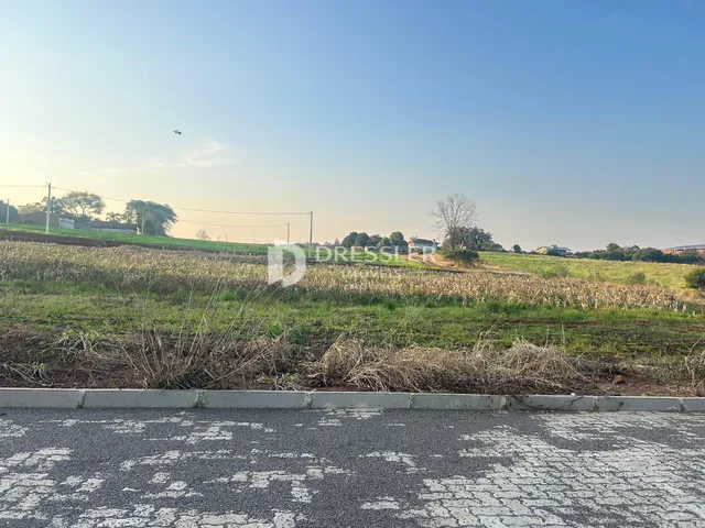 Paisagem de campo com vegetação seca em primeiro plano.