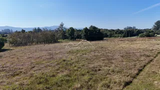 Vista de um campo aberto com vegetação rasteira e árvores ao fundo.
