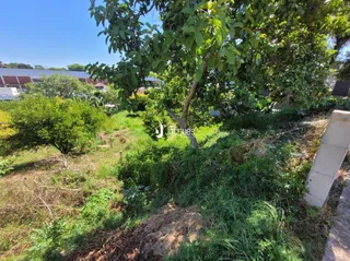 Terreno, foto 7