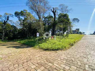 Terreno, foto 1