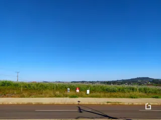 Paisagem de campo com vegetação ao longo de uma estrada.