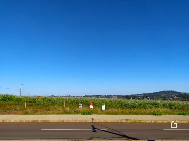 Paisagem de campo com vegetação ao longo de uma estrada.