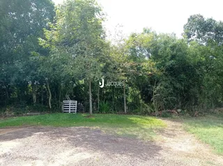 Vista externa da propriedade cercada por vegetação densa.