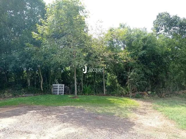 Vista externa da propriedade cercada por vegetação densa.