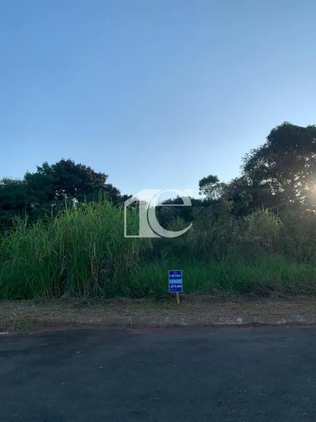 Terreno, foto 3