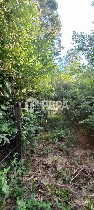 Área rural, foto 4
