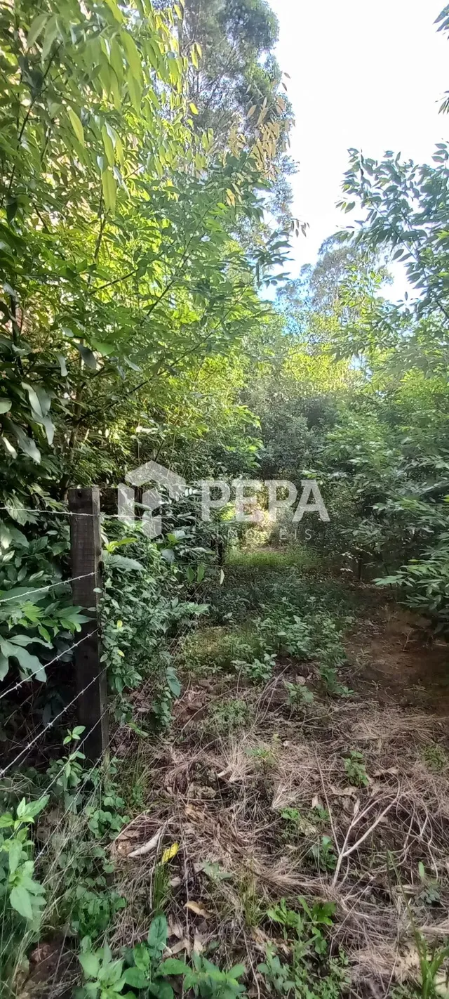 Área rural, foto 4