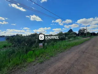 Vista externa de uma propriedade com vegetação alta e uma estrada de terra.