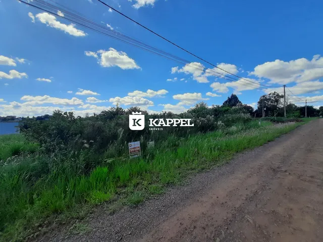 Vista externa de uma propriedade com vegetação alta e uma estrada de terra.