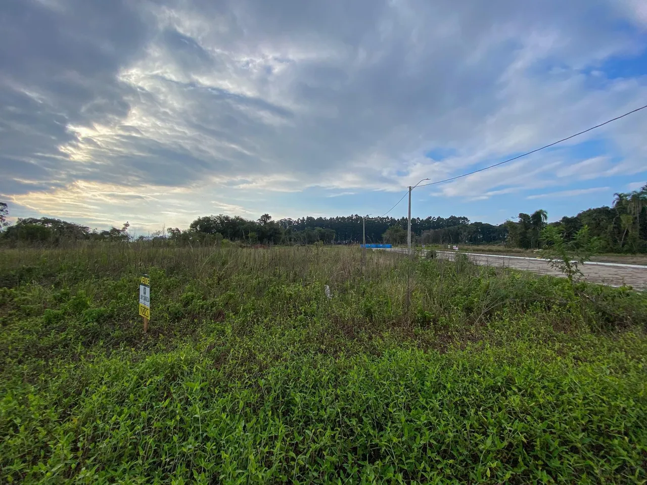Vista de um campo de grama alta com vegetação verde sob um céu nublado.