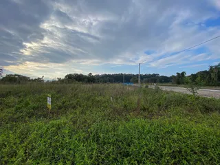Vista de um campo de grama alta com vegetação verde sob um céu nublado.
