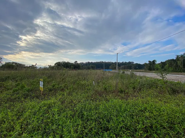Vista de um campo de grama alta com vegetação verde sob um céu nublado.