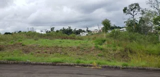 Vista de uma área de campo com vegetação alta sob um céu nublado.
