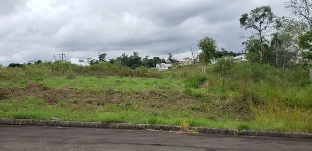 Vista de uma área de campo com vegetação alta sob um céu nublado.