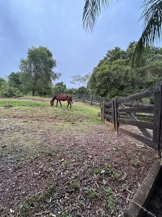 Área rural com 3 dormitórios, foto 18
