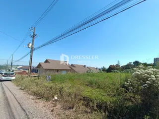 Vista da propriedade em Lajeado, Brasil, com vegetação densa e estrada de terra.