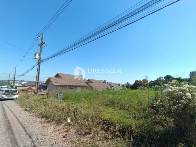 Vista da propriedade em Lajeado, Brasil, com vegetação densa e estrada de terra.
