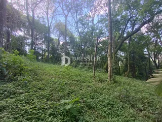 Área rural, foto 23