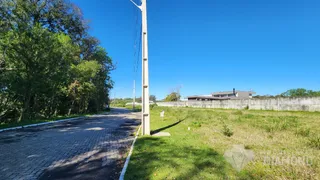 Terreno, foto 3