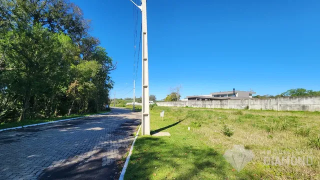 Terreno, foto 3