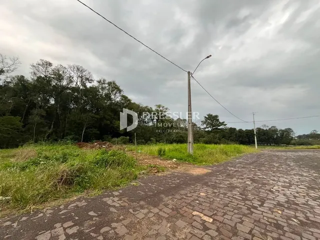 Vista da rua com vegetação e poste de luz em Lajeado.