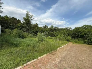 Terreno, foto 3