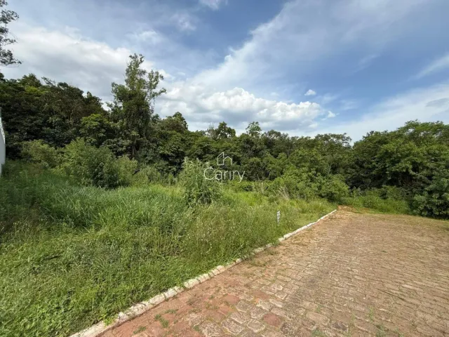 Terreno, foto 3