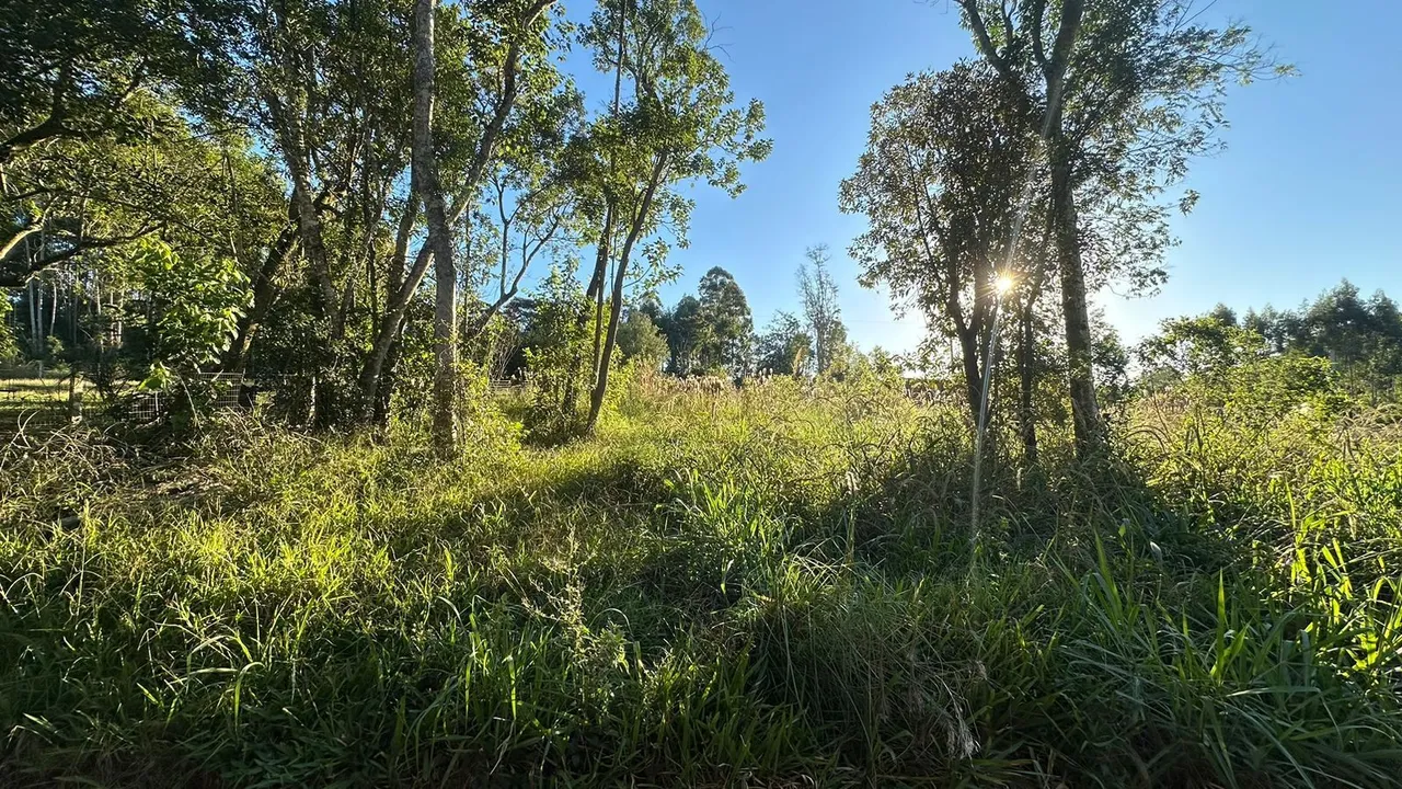 Área rural, foto 1