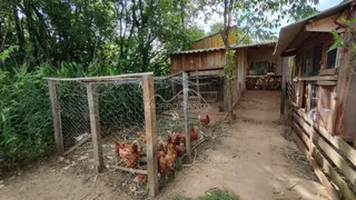 Área rural, foto 17