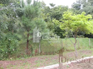 Vista externa de uma área com vegetação e cerca em Lajeado.