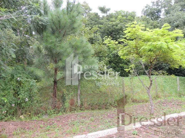 Vista externa de uma área com vegetação e cerca em Lajeado.