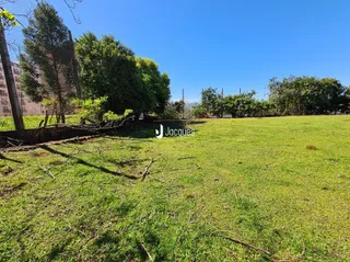 Vista de um campo gramado com árvores ao fundo.