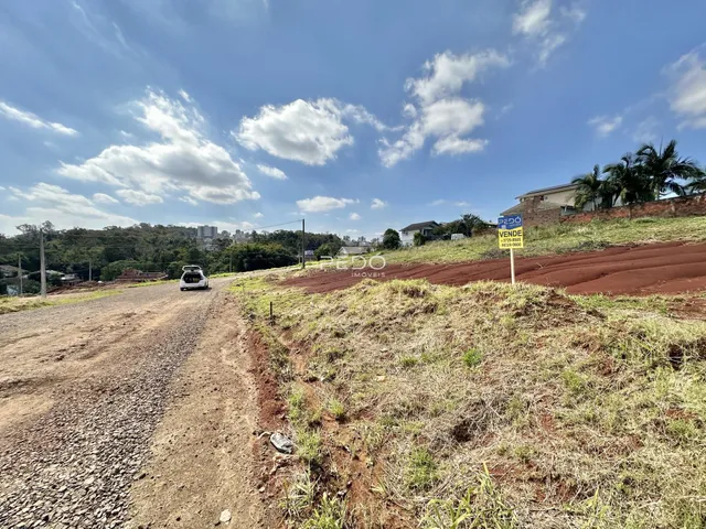 Vista de uma estrada de terra em uma área com vegetação seca.