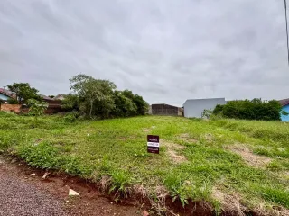 Terreno, foto 3