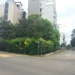 Terreno, foto 4