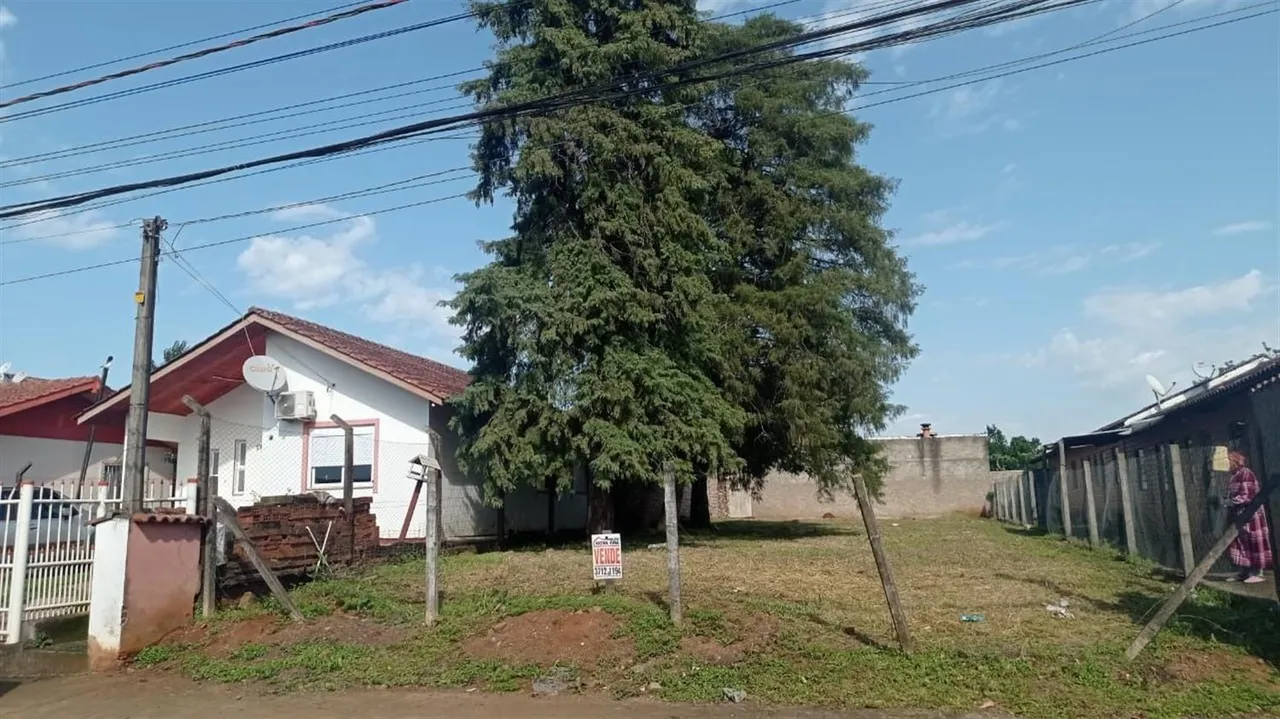 Terreno, foto 1
