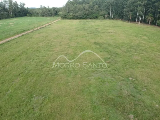 Vista aérea de um campo gramado com vegetação ao fundo.