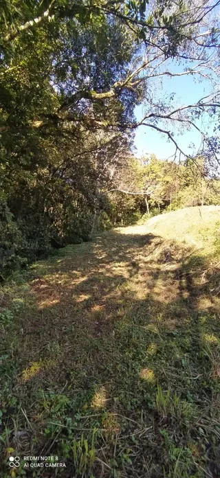 Terreno, foto 9
