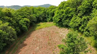 Vista de uma área de campo seco cercada por vegetação densa.