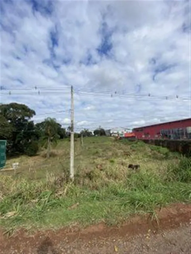 Terreno, foto 5