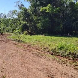 Terreno, foto 2