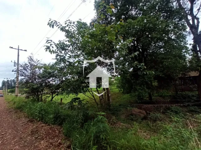 Terreno, foto 5