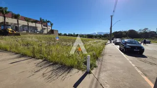 Terreno, foto 2