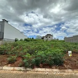 Vista externa de uma área com vegetação densa em uma propriedade.