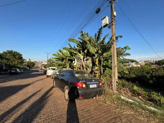 Vista da rua com vegetação e poste em Lajeado.